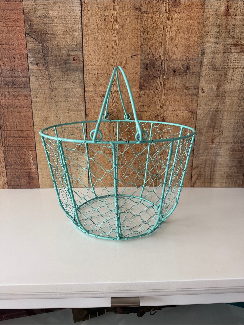 Turquoise Chicken Wire Mesh Basket with Handles - Home Accents